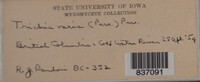 Image Associated With the Occurence